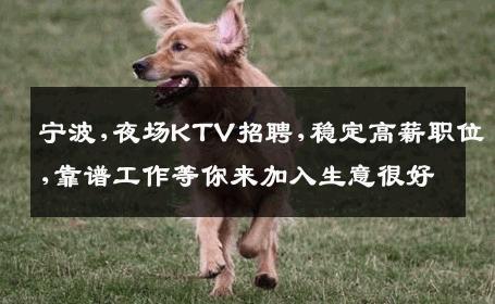 宁波,夜场KTV招聘,稳定高薪职位,靠谱工作等你来加入生意很好