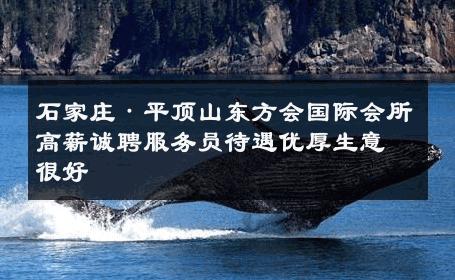 石家庄·平顶山东方会国际会所高薪诚聘服务员待遇优厚生意很好