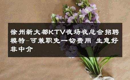 徐州新大都KTV夜场夜总会招聘模特-可兼职免一切费用 生意好非中介