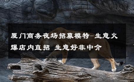 厦门商务夜场招募模特-生意火爆店内直招 生意好非中介