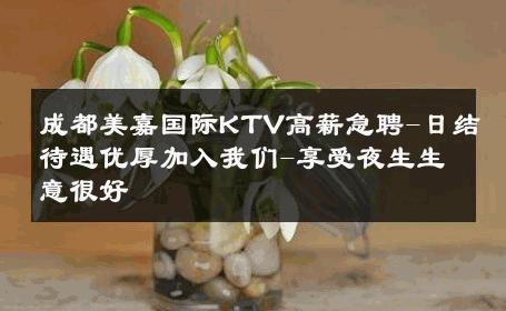 成都美嘉国际KTV高薪急聘-日结待遇优厚加入我们-享受夜生生意很好