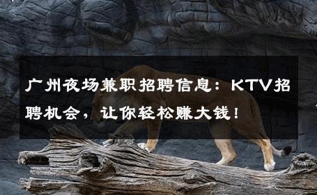 广州夜场兼职招聘信息：KTV招聘机会，让你轻松赚大钱！
