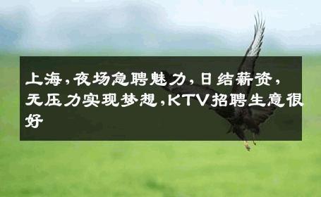 上海,夜场急聘魅力,日结薪资,无压力实现梦想,KTV招聘生意很好