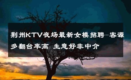 荆州KTV夜场最新女模招聘-客源多翻台率高 生意好非中介