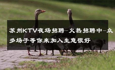 苏州KTV夜场招聘-火热招聘中-众多场子等你来加入生意很好