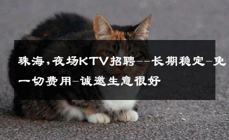 珠海,夜场KTV招聘--长期稳定-免一切费用-诚邀生意很好