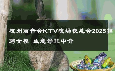 杭州丽音会KTV夜场夜总会2025招聘女模 生意好非中介