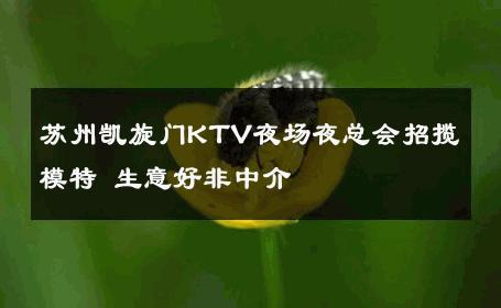 苏州凯旋门KTV夜场夜总会招揽模特 生意好非中介