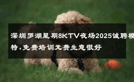 深圳罗湖星期8KTV夜场2025诚聘模特,免费培训无费生意很好