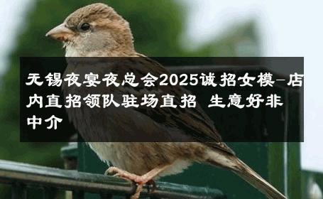 无锡夜宴夜总会2025诚招女模-店内直招领队驻场直招 生意好非中介