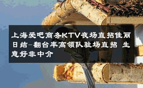 上海爱吧商务KTV夜场直招佳丽日结-翻台率高领队驻场直招 生意好非中介