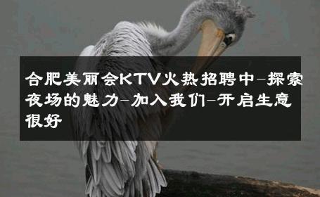 合肥美丽会KTV火热招聘中-探索夜场的魅力-加入我们-开启生意很好