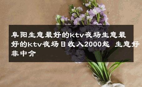 阜阳生意最好的ktv夜场生意最好的ktv夜场日收入2000起 生意好非中介