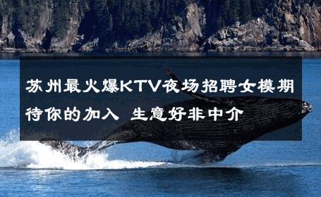 苏州最火爆KTV夜场招聘女模期待你的加入 生意好非中介
