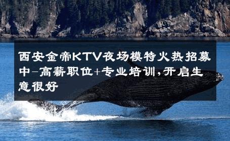 西安金帝KTV夜场模特火热招募中-高薪职位+专业培训,开启生意很好