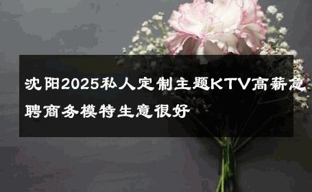 沈阳2025私人定制主题KTV高薪急聘商务模特生意很好