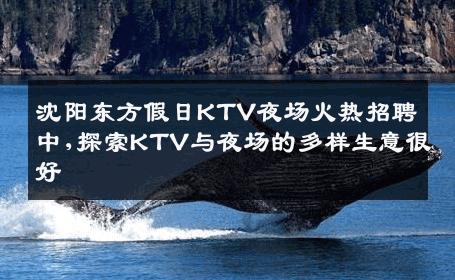 沈阳东方假日KTV夜场火热招聘中,探索KTV与夜场的多样生意很好