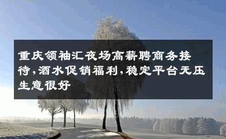 重庆领袖汇夜场高薪聘商务接待,酒水促销福利,稳定平台无压生意很好
