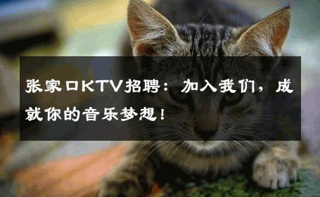 张家口KTV招聘：加入我们，成就你的音乐梦想！