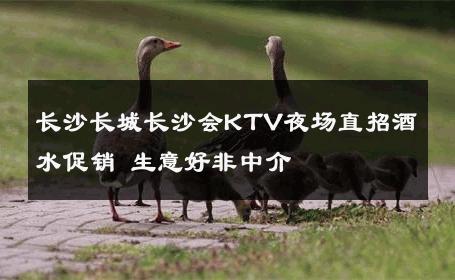长沙长城长沙会KTV夜场直招酒水促销 生意好非中介