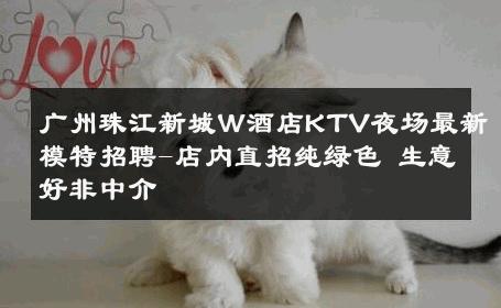广州珠江新城W酒店KTV夜场最新模特招聘-店内直招纯绿色 生意好非中介