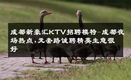 成都新豪汇KTV招聘模特-成都夜场热点,无套路诚聘精英生意很好