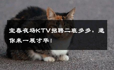 宜春夜场KTV招聘二班多多，邀你来一展才华！