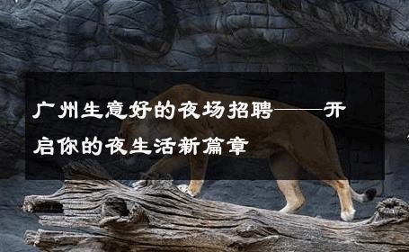 广州生意好的夜场招聘——开启你的夜生活新篇章