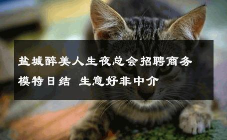 盐城醉美人生夜总会招聘商务模特日结 生意好非中介