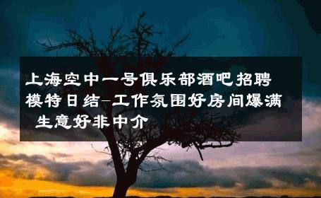 上海空中一号俱乐部酒吧招聘模特日结-工作氛围好房间爆满 生意好非中介