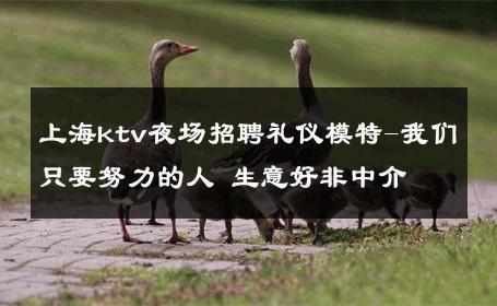 上海ktv夜场招聘礼仪模特-我们只要努力的人 生意好非中介