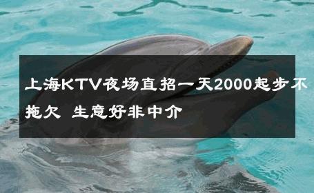 上海KTV夜场直招一天2000起步不拖欠 生意好非中介
