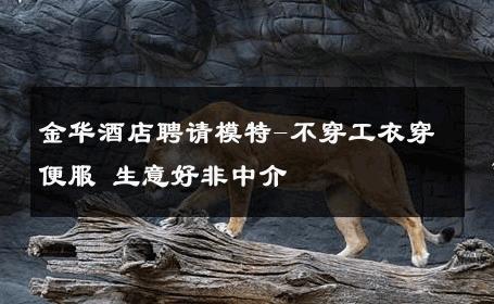 金华酒店聘请模特-不穿工衣穿便服 生意好非中介