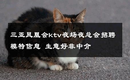三亚凤凰会ktv夜场夜总会招聘模特信息 生意好非中介