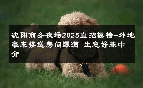 沈阳商务夜场2025直招模特-外地豪车接送房间爆满 生意好非中介