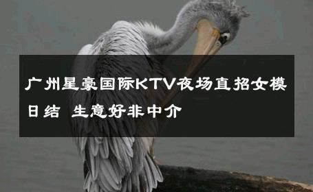 广州星豪国际KTV夜场直招女模日结 生意好非中介