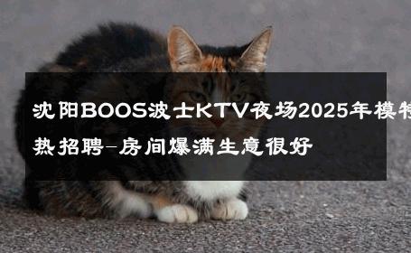 沈阳BOOS波士KTV夜场2025年模特火热招聘-房间爆满生意很好