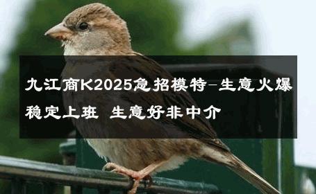 九江商K2025急招模特-生意火爆稳定上班 生意好非中介