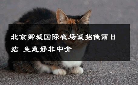 北京卿城国际夜场诚招佳丽日结 生意好非中介