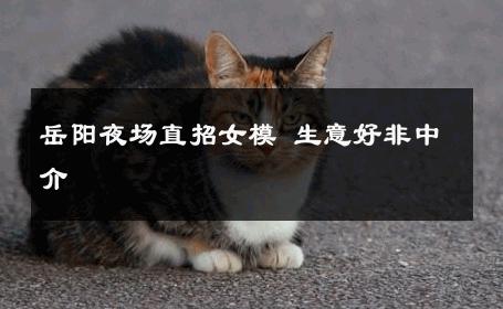 岳阳夜场直招女模 生意好非中介
