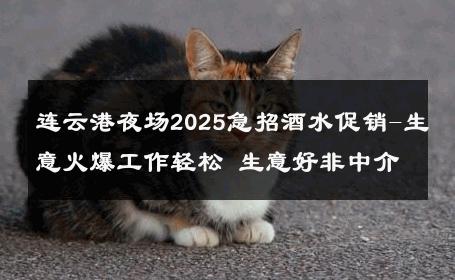 连云港夜场2025急招酒水促销-生意火爆工作轻松 生意好非中介