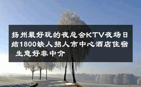 扬州最好玩的夜总会KTV夜场日结1800缺人招人市中心酒店住宿 生意好非中介