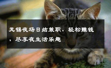 无锡夜场日结兼职，轻松赚钱，尽享夜生活乐趣