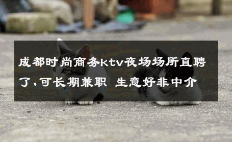 成都时尚商务ktv夜场场所直聘了,可长期兼职 生意好非中介