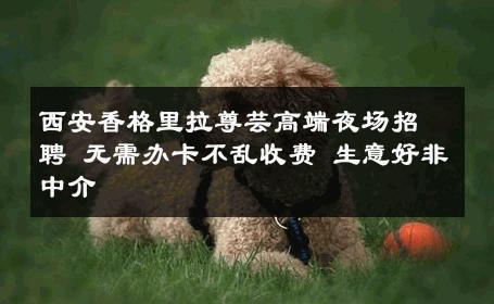 西安香格里拉尊芸高端夜场招聘 无需办卡不乱收费 生意好非中介