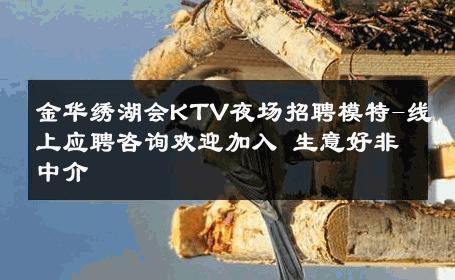 金华绣湖会KTV夜场招聘模特-线上应聘咨询欢迎加入 生意好非中介