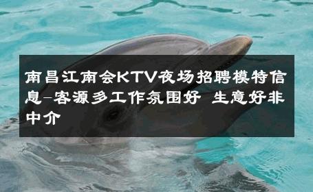 南昌江南会KTV夜场招聘模特信息-客源多工作氛围好 生意好非中介