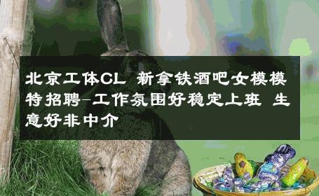 北京工体CL 新拿铁酒吧女模模特招聘-工作氛围好稳定上班 生意好非中介