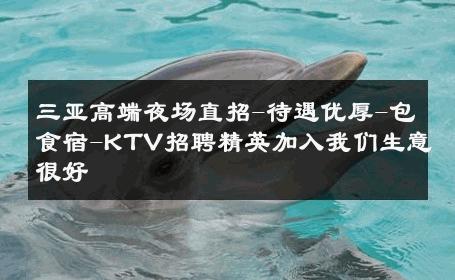 三亚高端夜场直招-待遇优厚-包食宿-KTV招聘精英加入我们生意很好