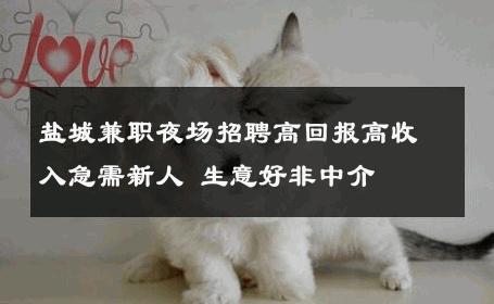 盐城兼职夜场招聘高回报高收入急需新人 生意好非中介